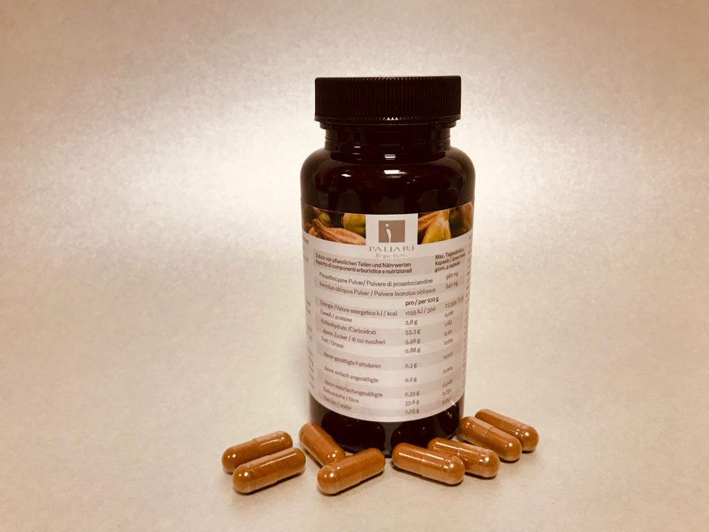 OPC + Inonotus obliquus (Chaga Pulver) 90 Kps (49,05 g)