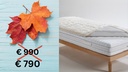 Paljari Kaschmir Unterbett mit Bio-Infrarot Faser Größe: 90x190/200 cm 